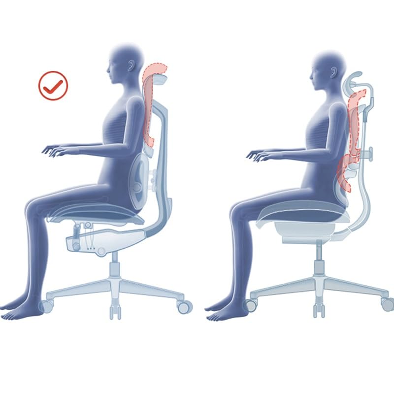 VIDI Ergonomic Chair Net, Executive Home Office, with Waist Support, Backrest