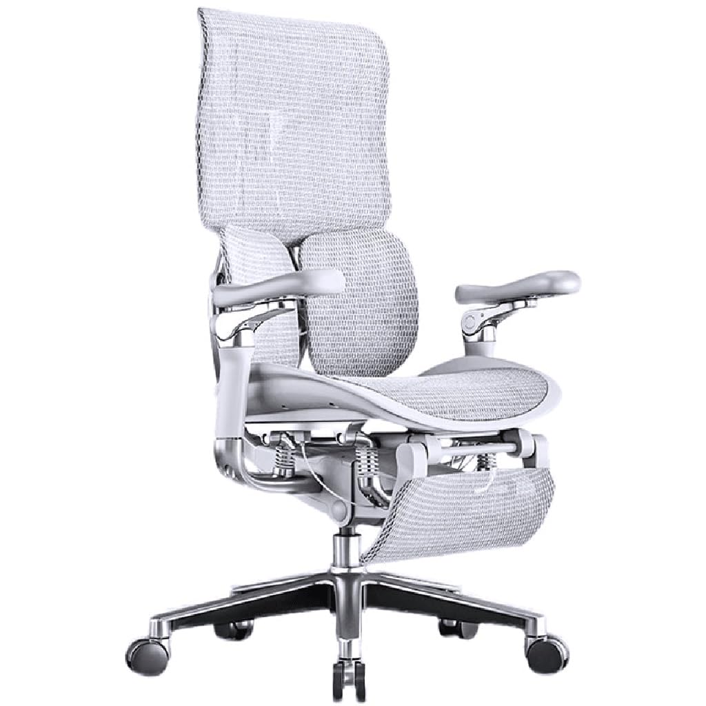 VIDI Ergonomic Chair Net, Executive Home Office, with Waist Support, Backrest