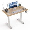 ExaDesk Electric Standing Desk S04X