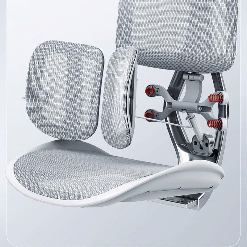 VIDI Ergonomic Chair Net, Executive Home Office, with Waist Support, Backrest