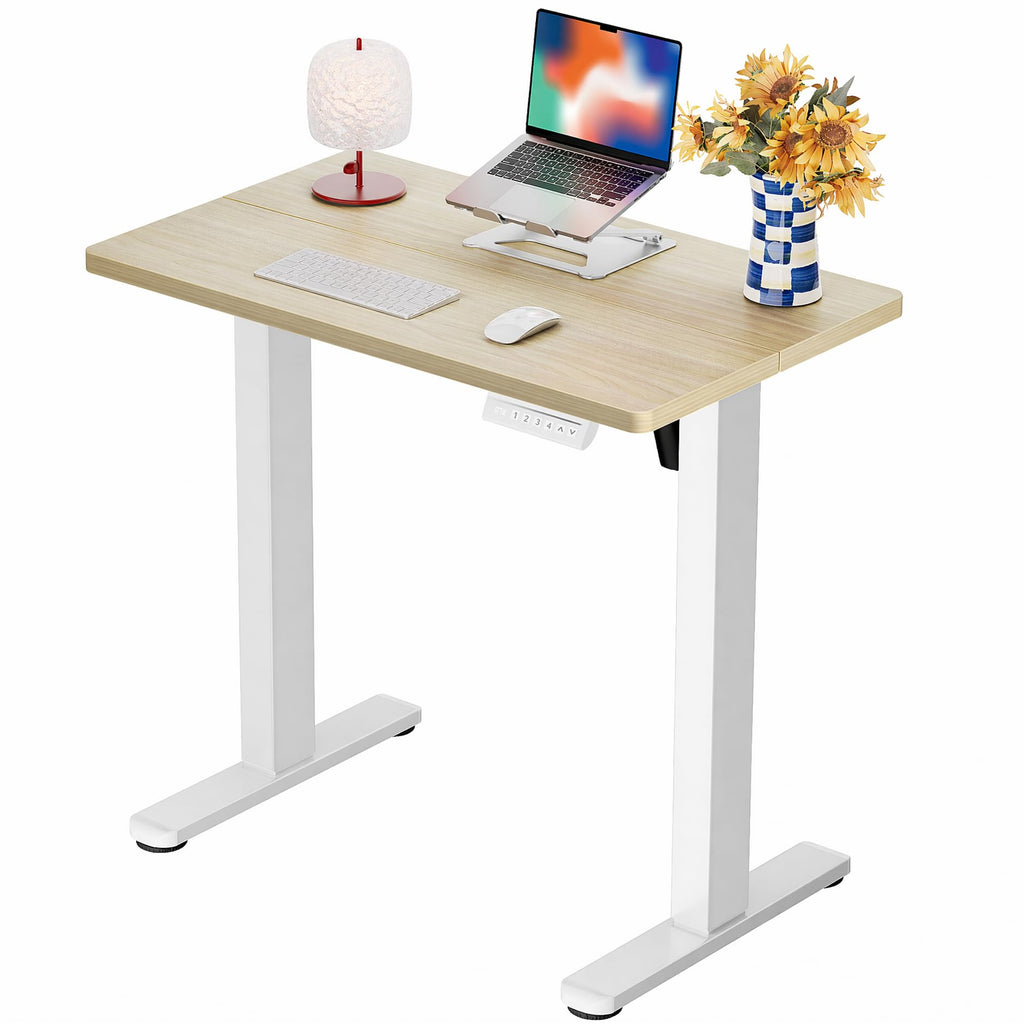 ErGear Height Adjustable Electric Standing Desk, Sit Stand up Desk, Memory Computer Home Office Desk