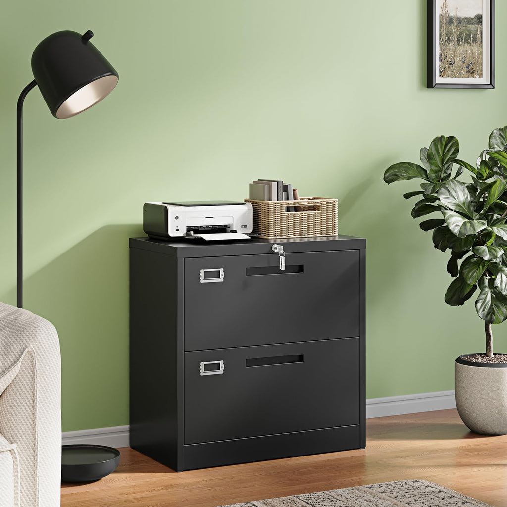 Letaya Metal Lateral File Cabinet with 2 to 5 Drawers